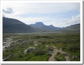 IMG_0456 IMG_0456