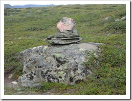 IMG_0460 IMG_0460