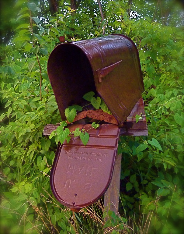 [mailbox[5].jpg]