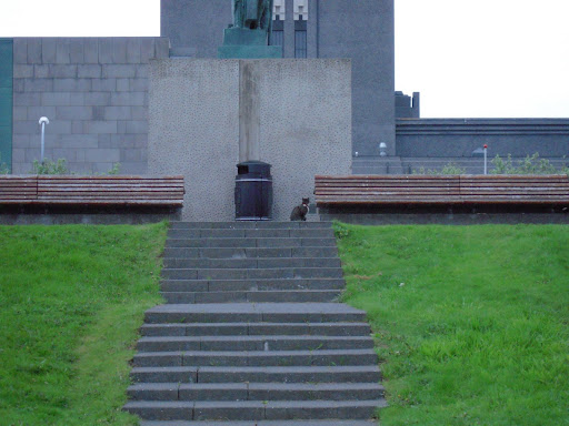 A kitty gazes up at Ingólfur's statue, plotting world domination.