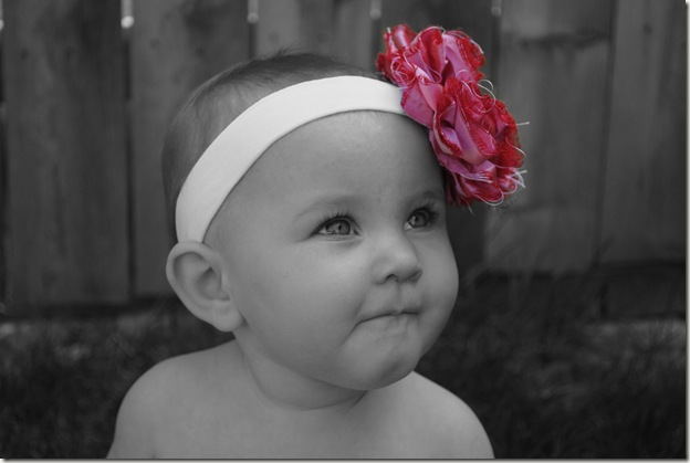 DSC_0276_colorized