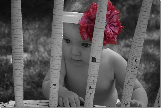 DSC_0307_colorized