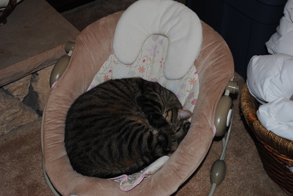 [DSC_0028[3].jpg]