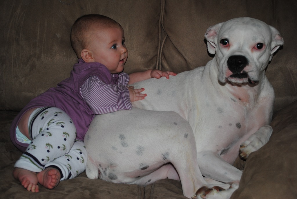 [DSC_0182[4].jpg]