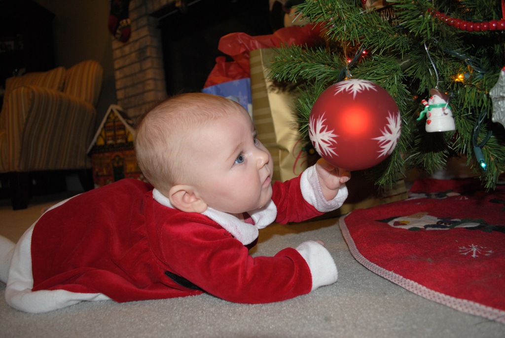 [DSC_0521[3].jpg]