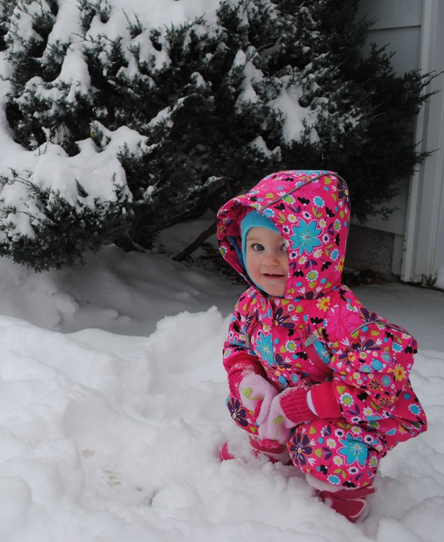 [DSC_0397[4].jpg]