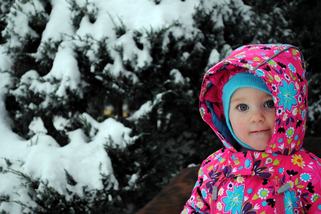 [DSC_0401[4].jpg]