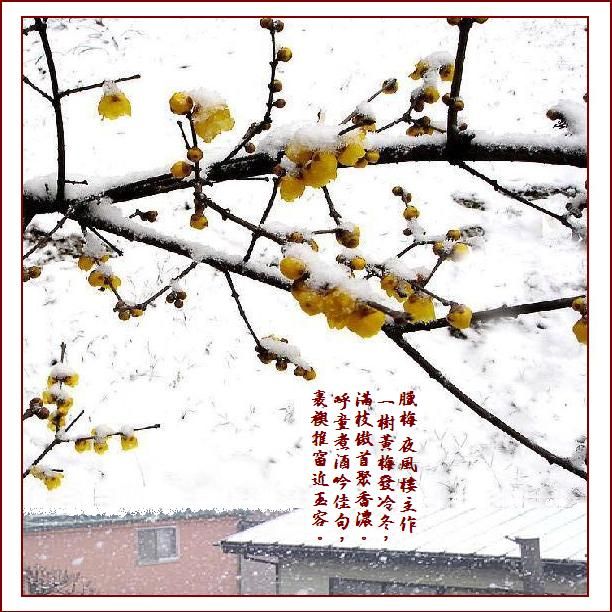 圖檔