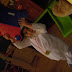 PB170145.JPG