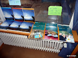 P1010304.JPG