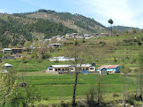 DSCF0552.JPG