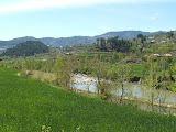 DSCF0558.JPG