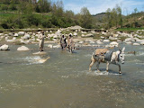 DSCF0541.JPG