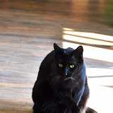 DSC_0031.jpg DSC_0031.jpg