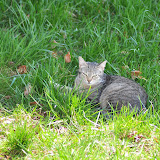 DSC_0305.JPG