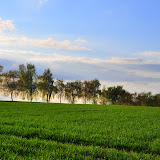 DSC_0174.jpg