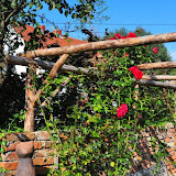 DSC_0217.jpg DSC_0217.jpg