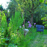 DSC_0231.jpg DSC_0231.jpg