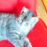 DSC_0134.JPG