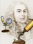 Robert_Hooke-cell Robert_Hooke-cell
