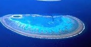 [Great barrier reef.[6].jpg]