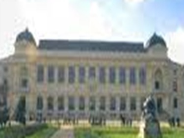 Central-National-Herbarium-largest Central-National-Herbarium-largest