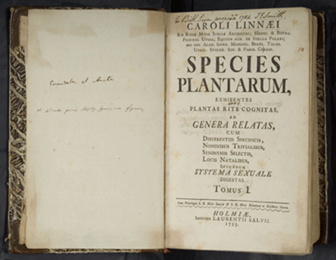 Species-Plantarum-Linnaeus