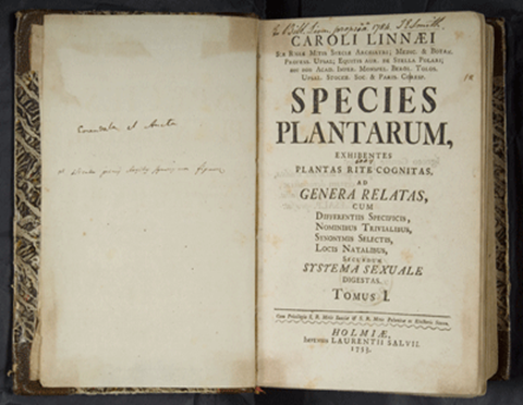 Species-Plantarum-Linnaeus Species-Plantarum-Linnaeus