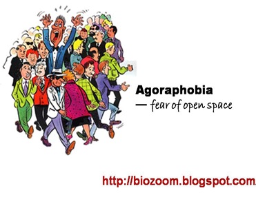 agoraphobia agoraphobia