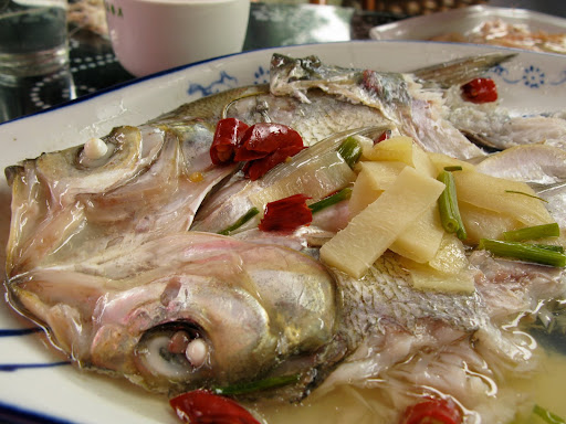 白鱼