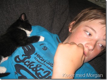 IMG_6298 IMG_6298