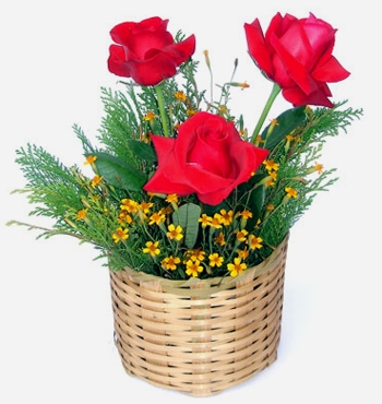 Fun & Info @ Keralites.net