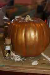 IMG_8337_0899 IMG_8337_0899