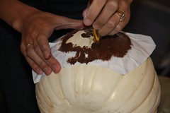 IMG_8345_0873 IMG_8345_0873