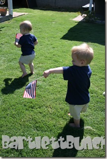 IMG_3388 IMG_3388