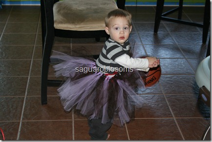 IMG_4241 IMG_4241