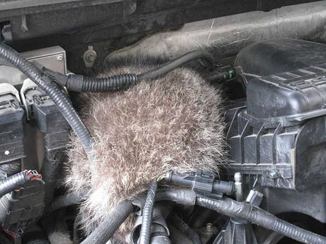 [surprise_in_car_053.jpg]