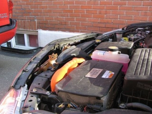 [surprise_in_car_033.jpg]