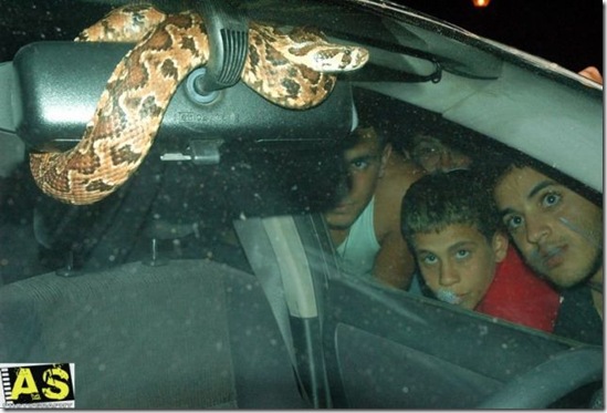 surprise_in_car_15