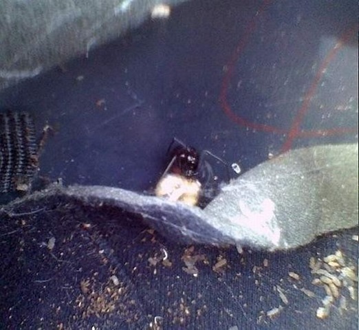 [surprise_in_car_173.jpg]