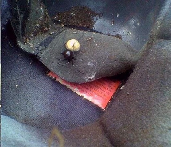 [surprise_in_car_183.jpg]