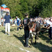 Sneznica_13.jpg
