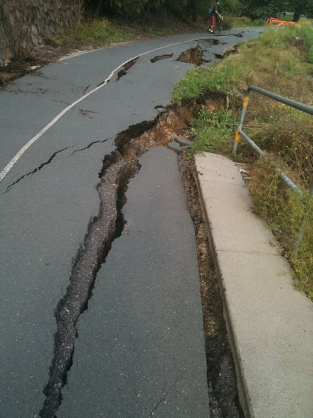 cycle path damage