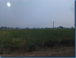 IMAG0397 IMAG0397