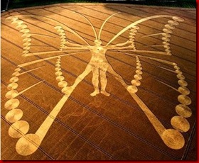 butterfly-crop-circle