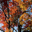 p1160505.jpg