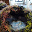Funerary Urns, fiber, mixed media with cat whiskers by V Van Sant