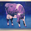 “Egyptian Cow”, oil painting by Lindsey Florence