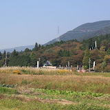 20082