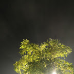 DSC_3028.JPG